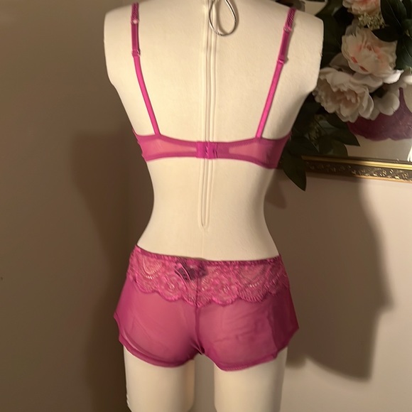 Le Mystere Isabella lace sexy sheer 36 C bra and L boy short - Picture 4 of 6